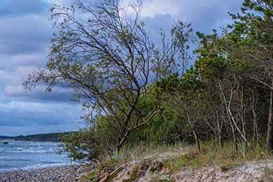 法国队在国际比赛中连续取得胜利，势如破竹，法国队要求重赛