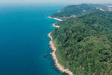 法国队在国际比赛中连续取得胜利，势如破竹，法国队要求重赛